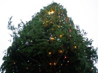 Заработала праздничная иллюминация на главной елке города