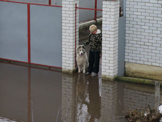 Жители Петровска готовы скинуться на расчистку реки Медведица