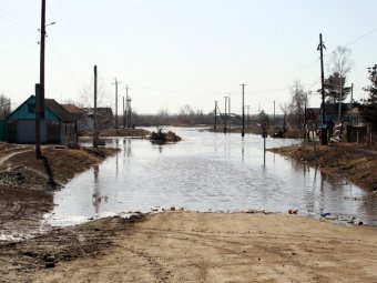 Уровень воды в реке Медведица упал на 65 сантиметров