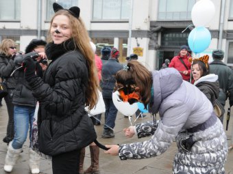 Зоозащитники проведут в Саратове костюмированное шествие в День кошек