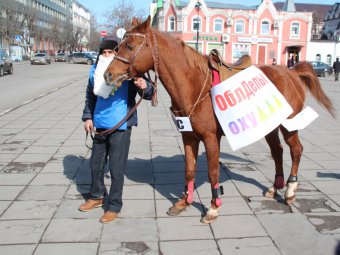 Активист ЛДПР провел пикет с ряженым конем у памятника Чернышевскому