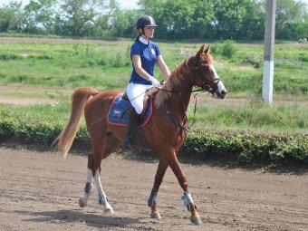 На саратовском ипподроме проведет мастер-классы двукратная чемпионка России по конному троеборью
