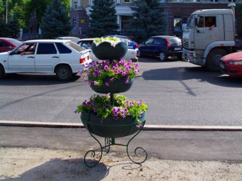 Директор МУП «Саргорсвет»: Высадить цветы в саратовские кашпо нет финансовой возможности