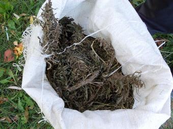Житель Аркадака хранил марихуану в мешке с надписью «Садовник - торф нейтрализованный»