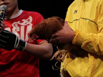 Победители финала региональной лиги КВН вышли на сцену с живой курицей