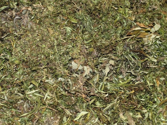 На чердаке у саратовца нашли лежащую россыпью марихуану