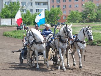 Саратовцев приглашают на парад лошадей в честь открытия бегового сезона