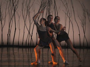 На Собиновском фестивале состоялась премьера балета «Стальной скок»