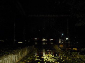 Саратовстат: Более трети улиц в городах региона не обеспечены освещением
