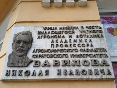 В центре Саратова отвалившаяся в подъезде дома бетонная штукатурка разбила голову 9-летней девочке