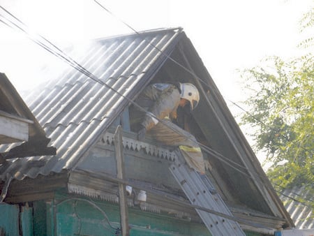 Ночью в Поливановке сгорели два частных дома