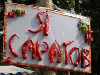 В Саратове снова пройдет фестиваль овощей