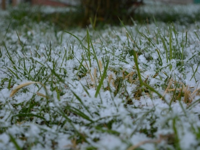 В выходные в Саратовской области ожидаются снег и дождь