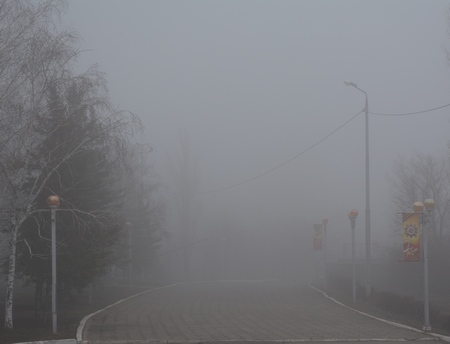 МЧС предупреждает о тумане и налипании мокрого снега в Саратове