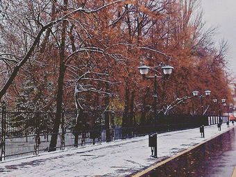 В Саратове 9 декабря продолжатся снегопады 