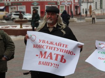 Партия «Яблоко» вышла на пикет в Саратове с лозунгом: «Уважайте Конституцию – мать вашу!!!»