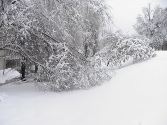 В Саратове ожидается небольшой снегопад