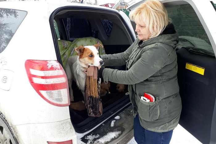 Татьяна Хитрова вызволяет собак
