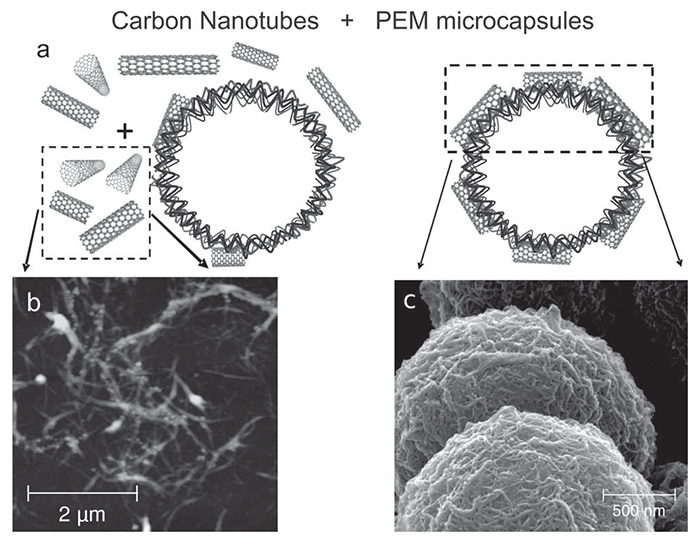 Schematic representation of the carbon nanotube