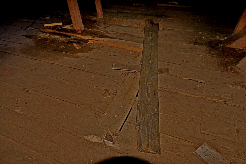 m_IMGP3058.jpg