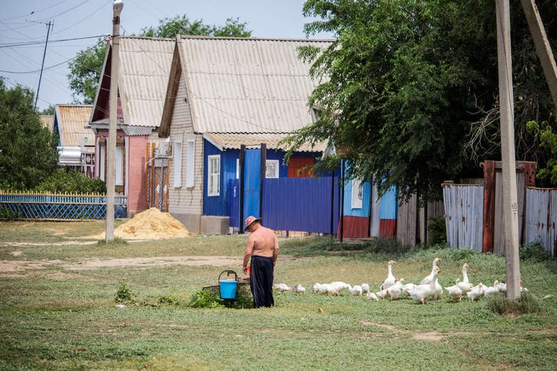 Очаги культуры в полупустыне