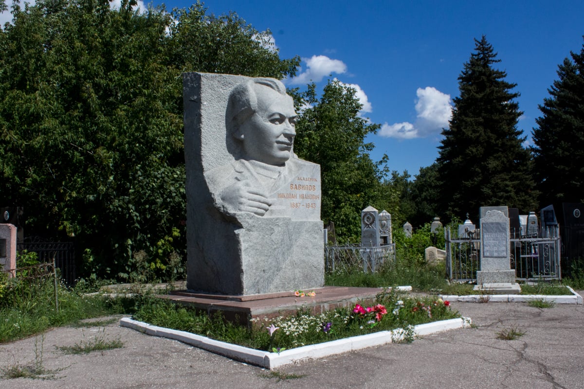 Памятник Вавилову на Воскресенском кладбище