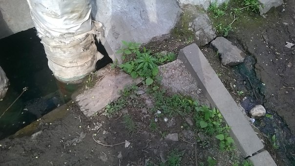 Т Плюс2.jpg