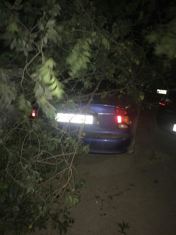 Упавшее дерево на Огородной