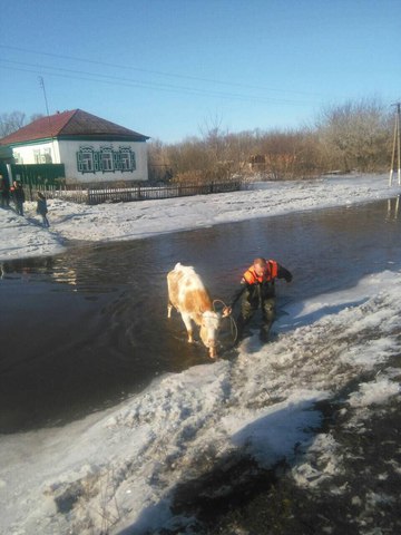 спасатели в Романовском районе.jpg