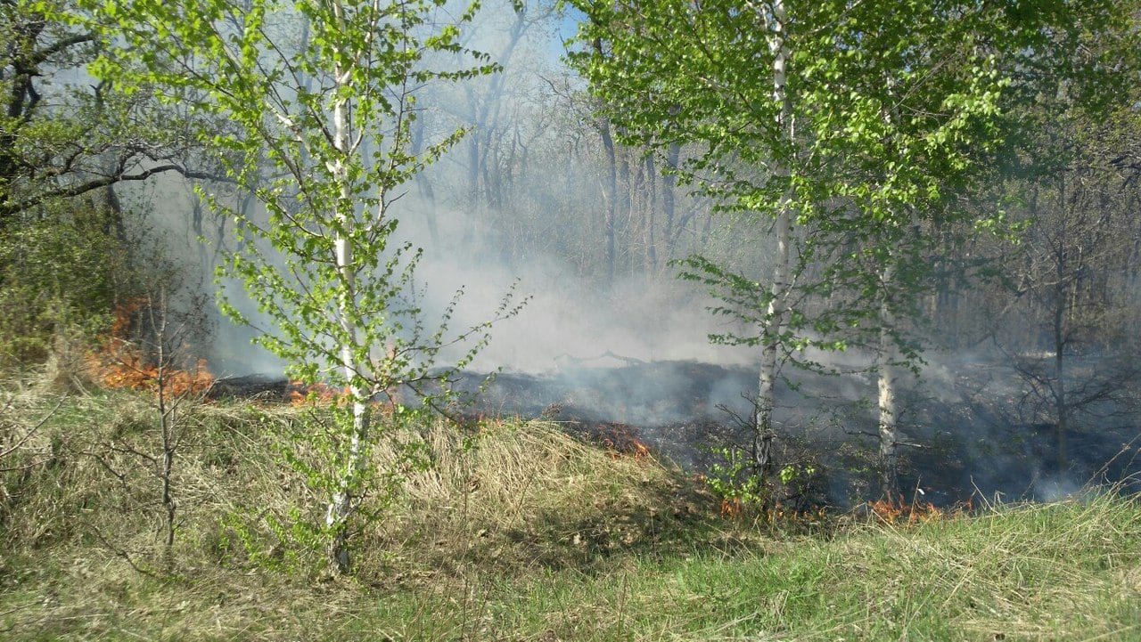 Природный пожар на Кумысной поляне