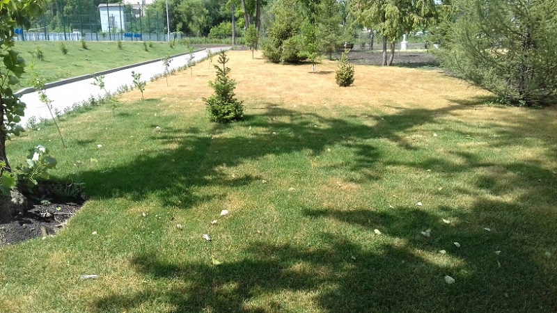 Городском парк города Вольска.jpg