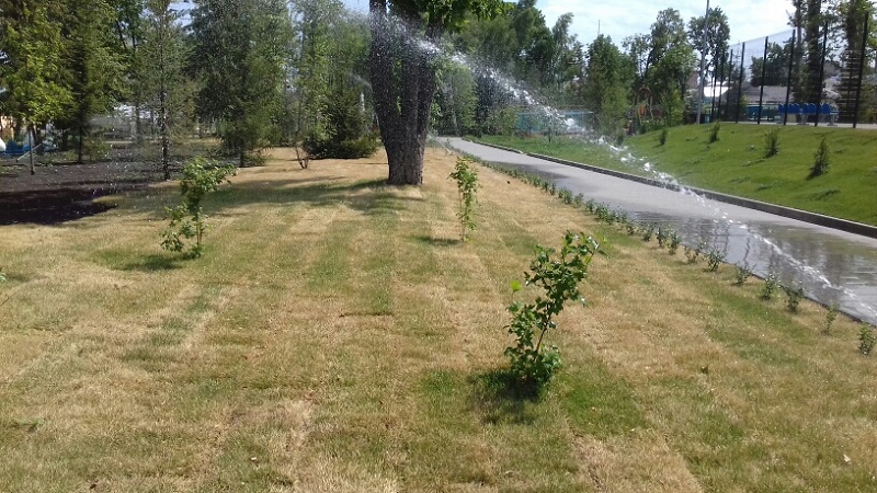 Полив в городском парке Вольска.jpg