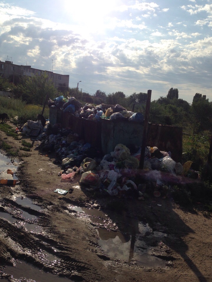 Мусор в поселке Тепличном.jpg