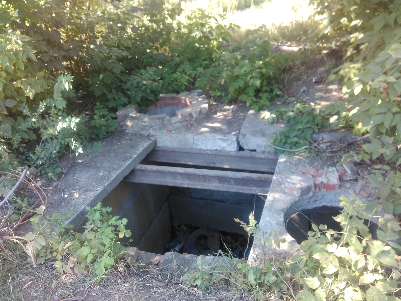 открытая тепловая камера.jpg