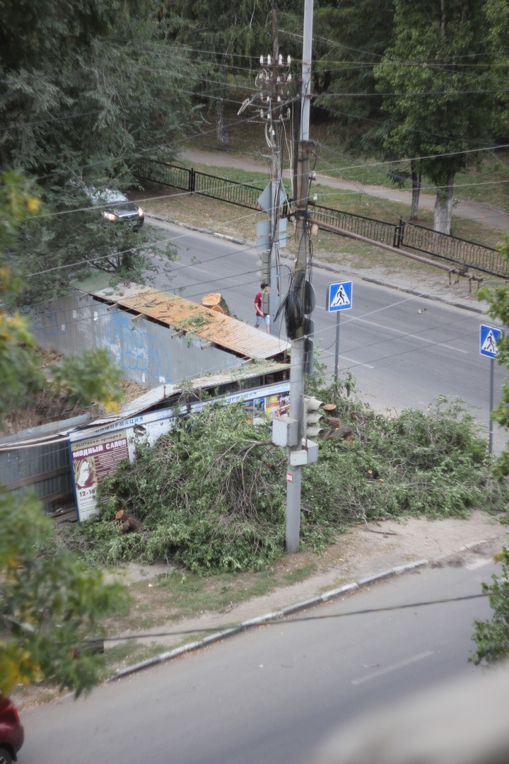 Вырубка деревьев у бывшего ЖСК Календула.jpg