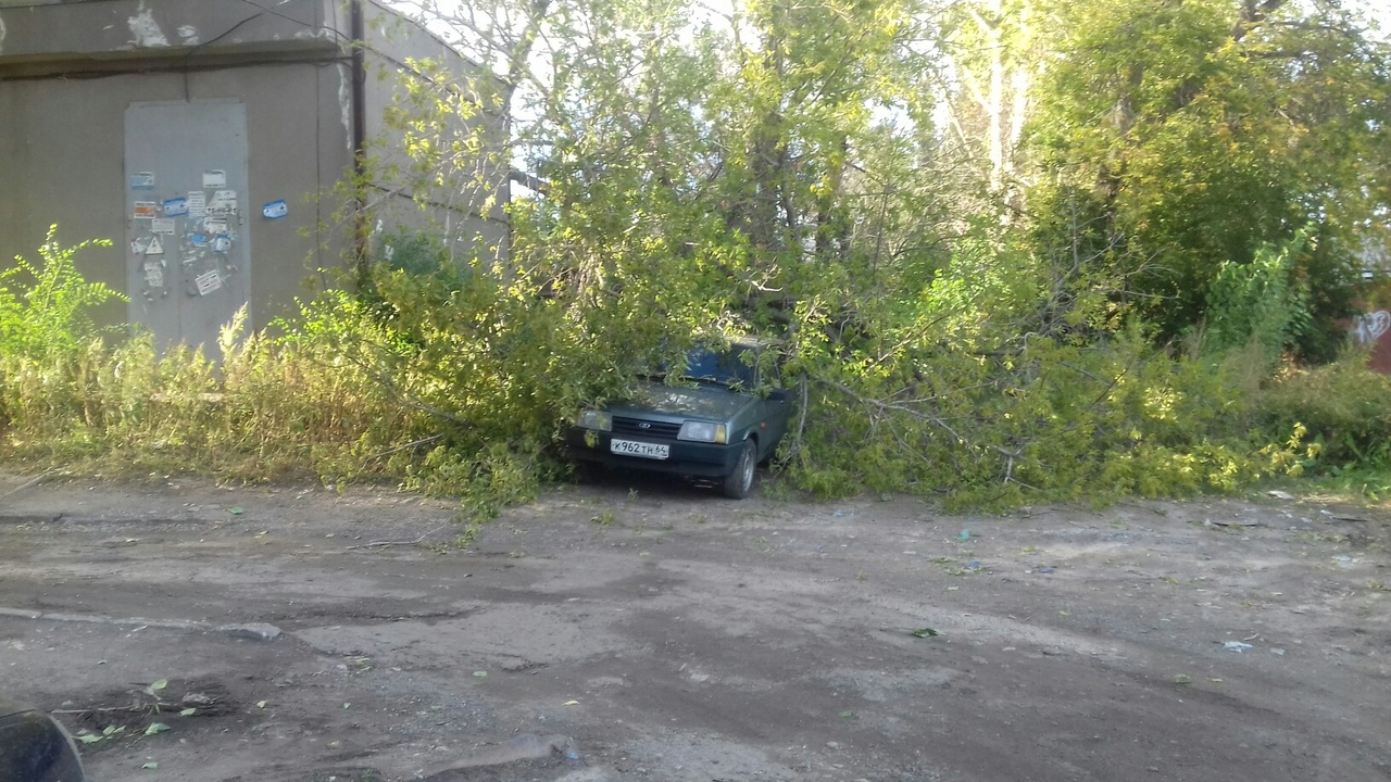 Последствия сильного ветра в Саратове 19 сентября.