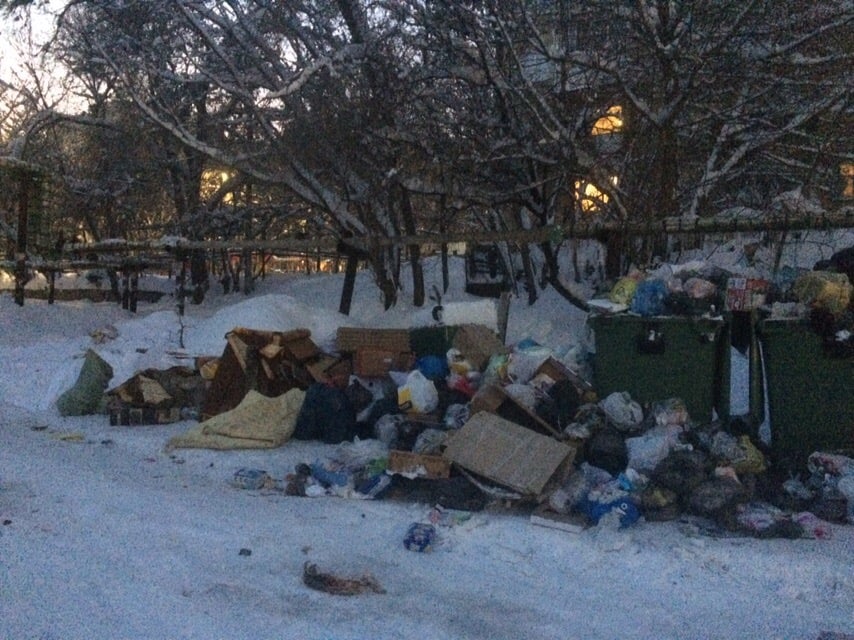 Горы мусора в Саратове в январские каникулы