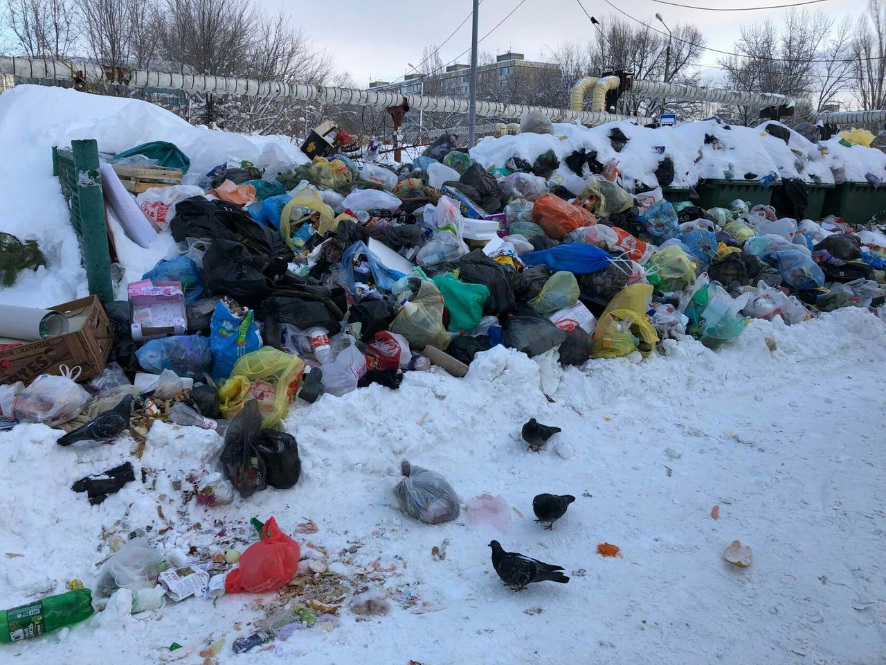 Горы мусора в Саратове в январские каникулы