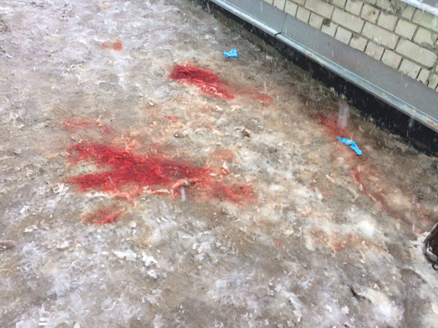 Фото пристройки