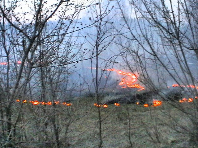 ДТП с пожаром под Аткарском