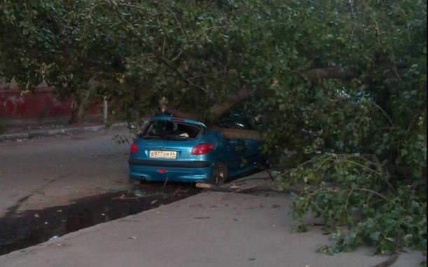 Дерево рухнуло на машину на улице Крымской