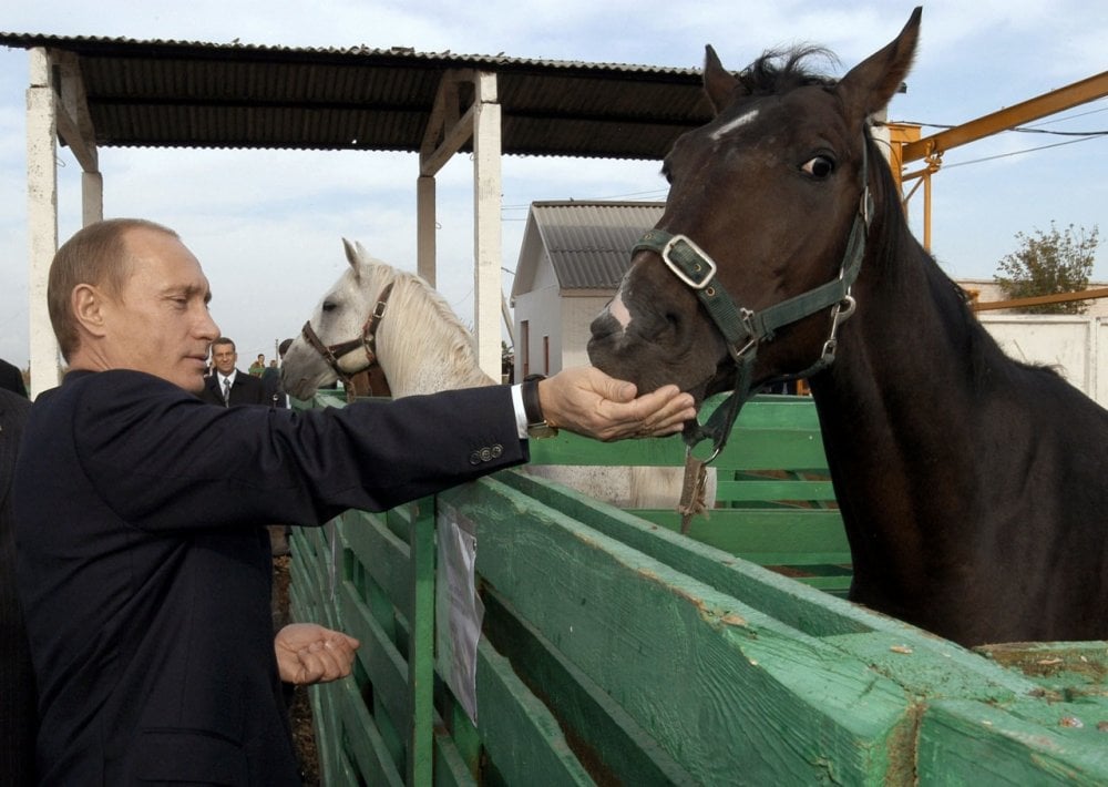 Путин на агрофирме «Николаевская», 2004 год. Фото – vvprf.ru