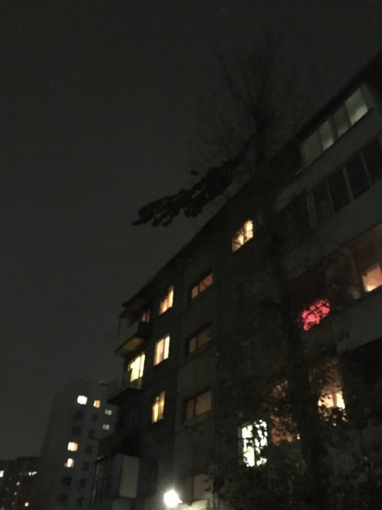 Ветка дерева у дома №12 на 3-м Московском проезде