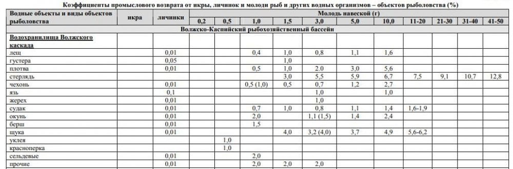 берег волга течение рыба. Смотреть фото берег волга течение рыба. Смотреть картинку берег волга течение рыба. Картинка про берег волга течение рыба. Фото берег волга течение рыба