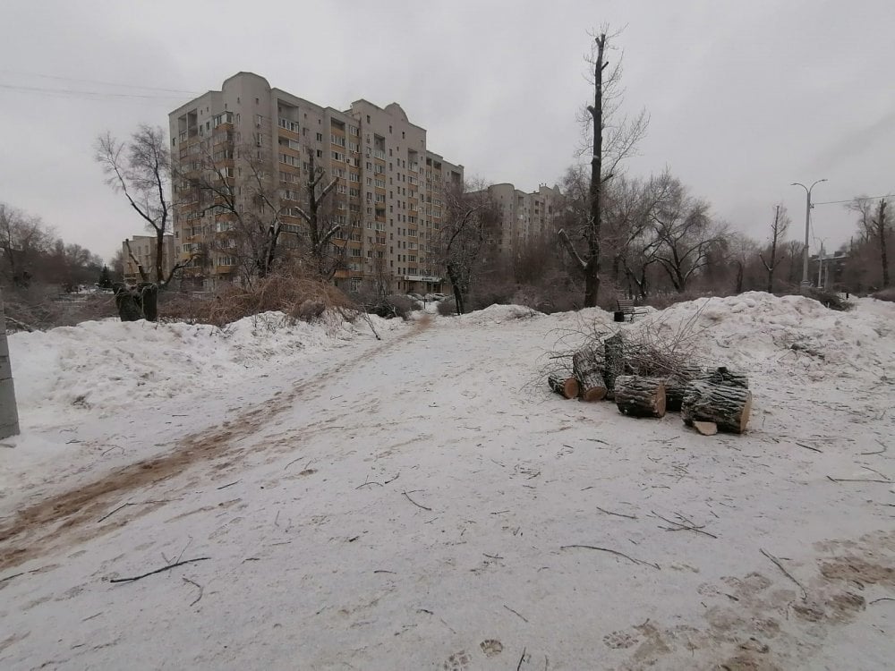 Сквер Заводской подвергся вырубке