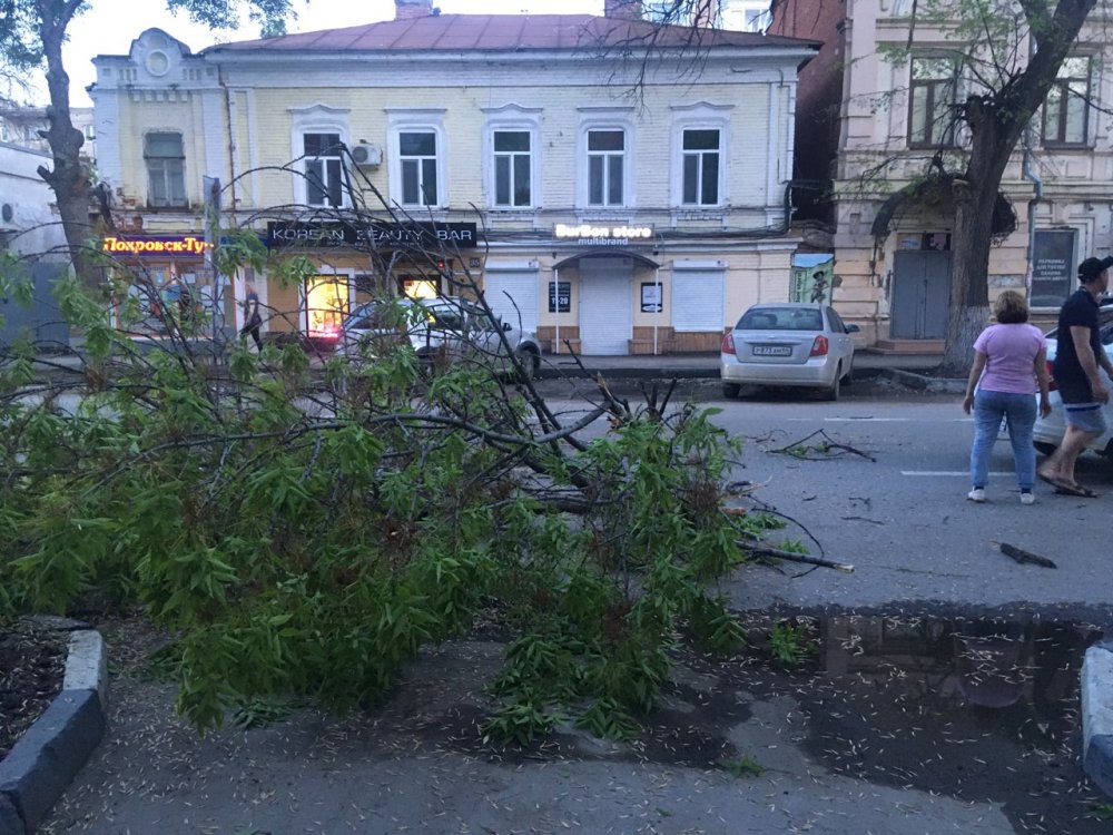 Падение ветки на Большой Казачьей