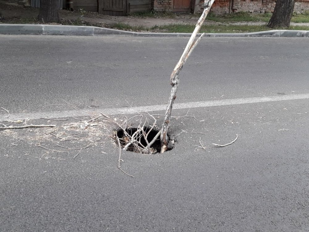 провал и ветка
