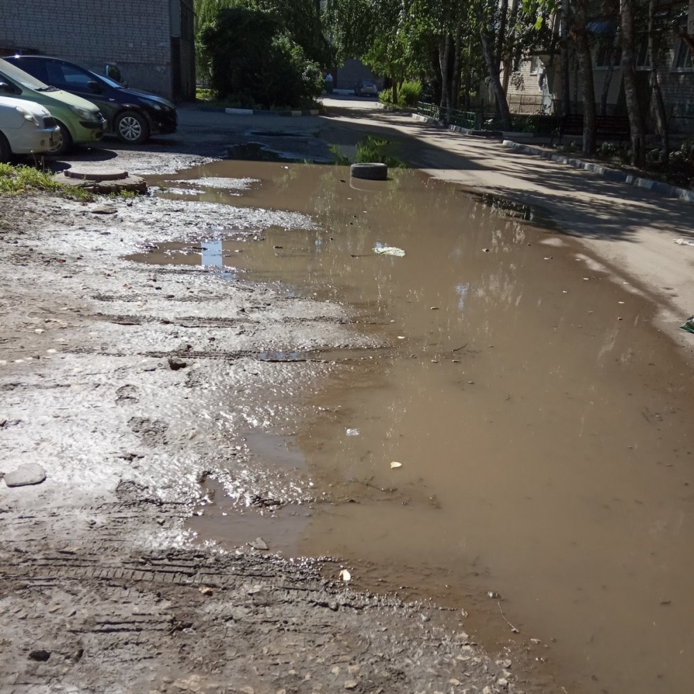 Жижа в корыте 93