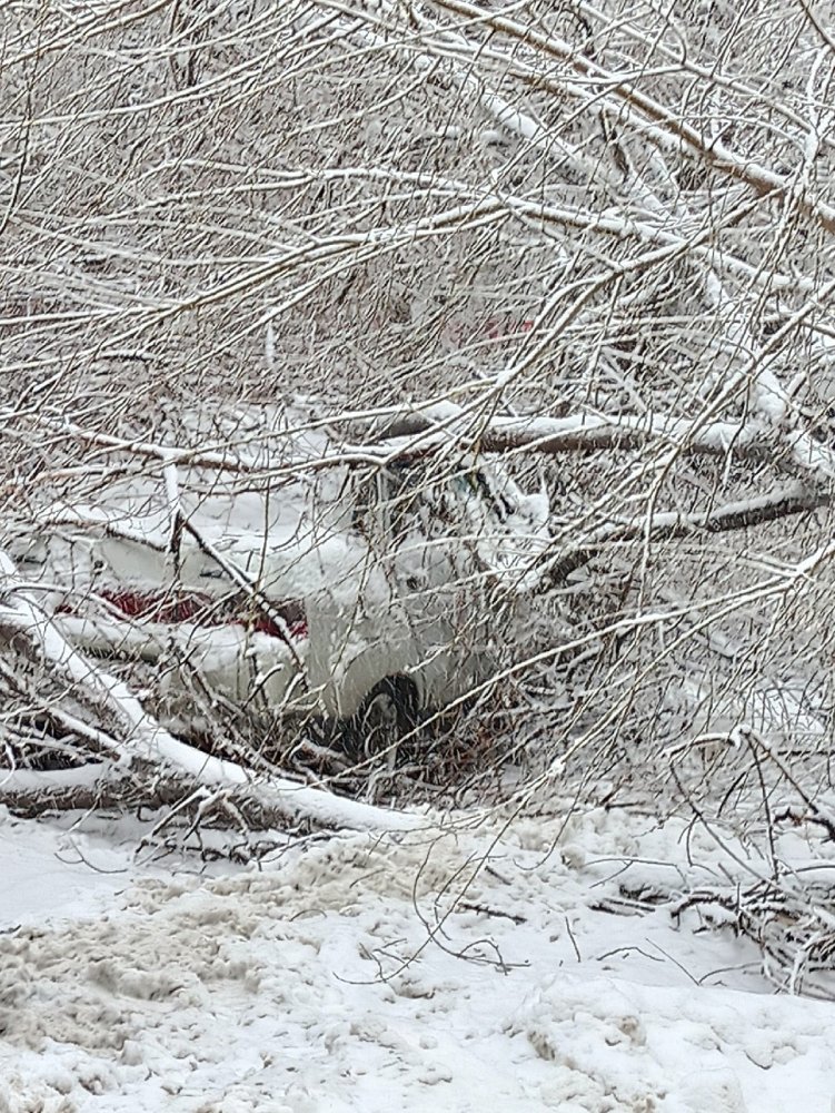 дерево со снегом накрыло машину в Заводском районе