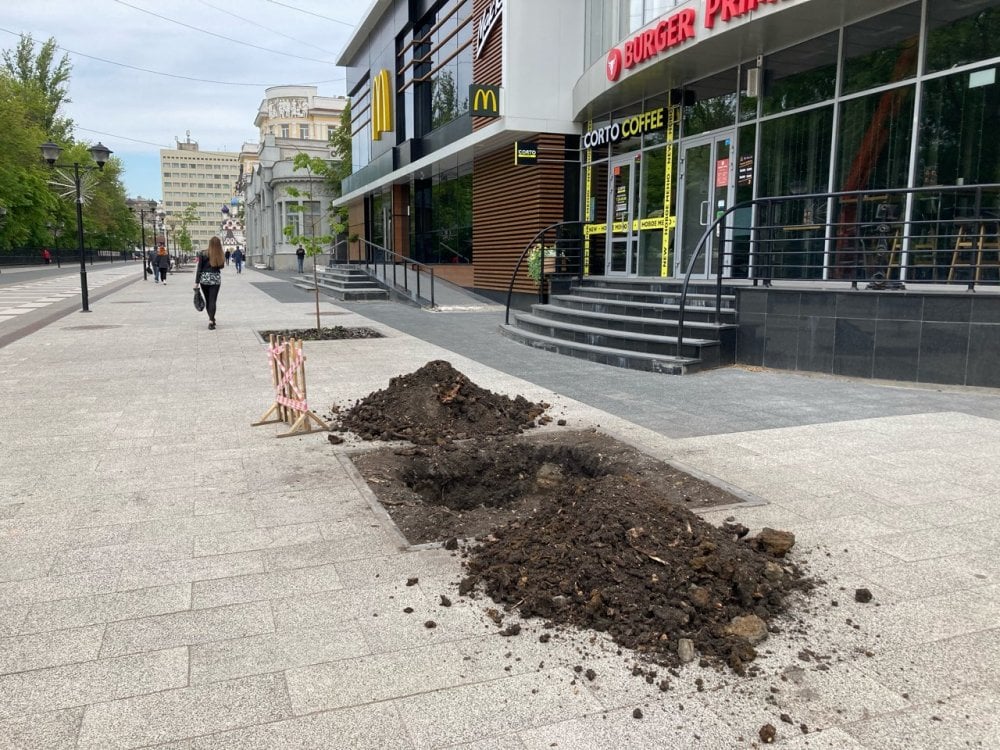 высадка деревьев на Волжской